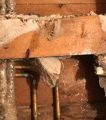 dry rot causing damage 