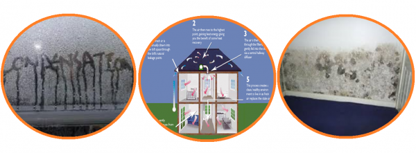 Condensation solutions in Edinburgh