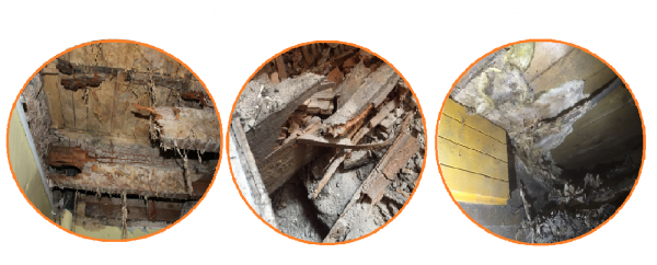 Dry rot treatment services in Aberdeen