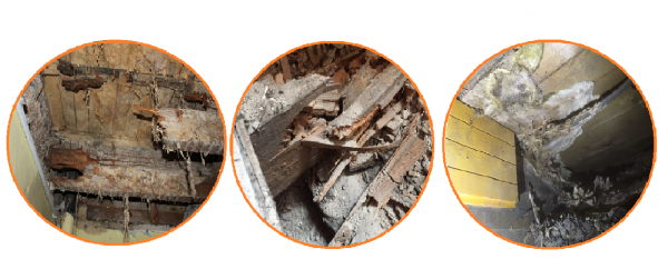 Dry rot treatment in Edinburgh