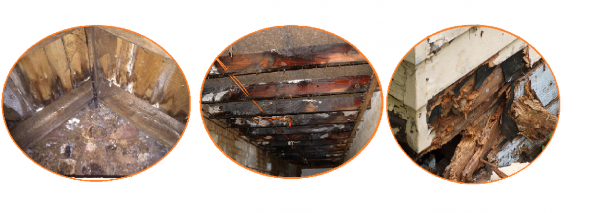 Wet rot solutions in Aberdeen