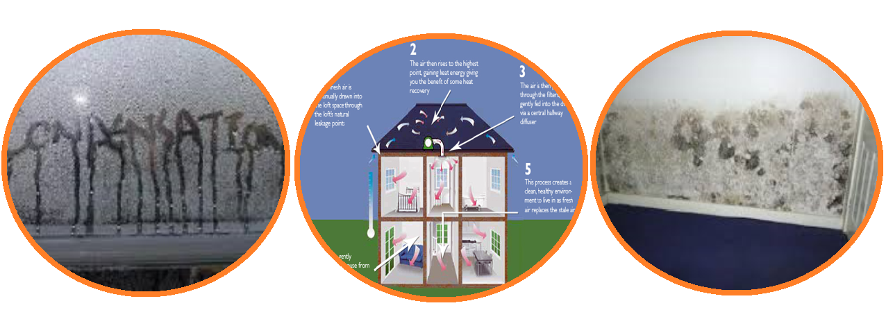 Condensation treatment in Glasgow